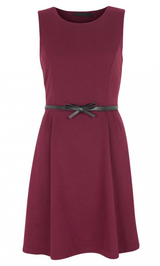 Primark AW12 Wine Coloured Skater Dress