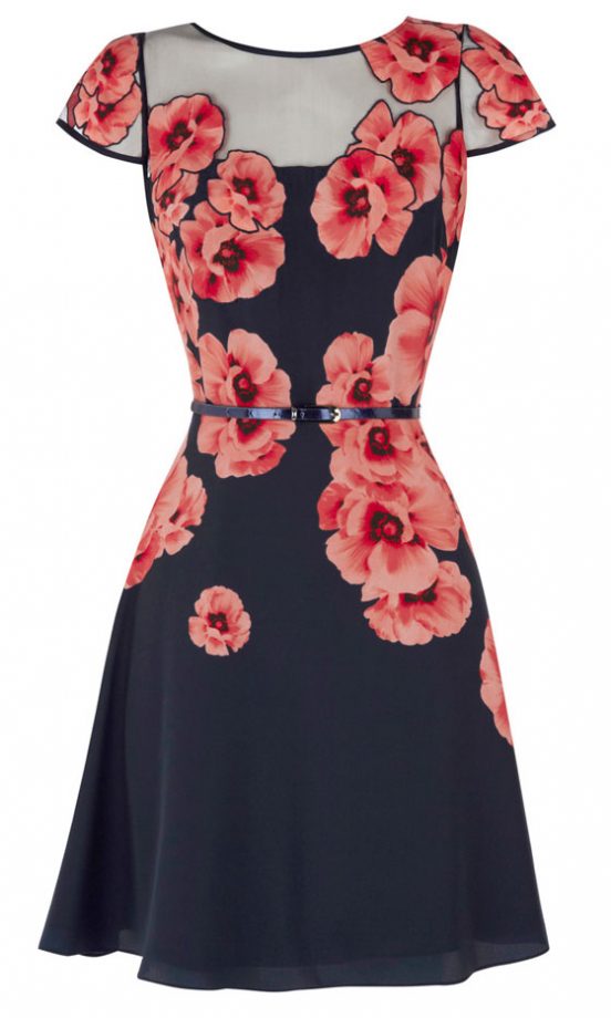 Coast Zurie Dress, £160