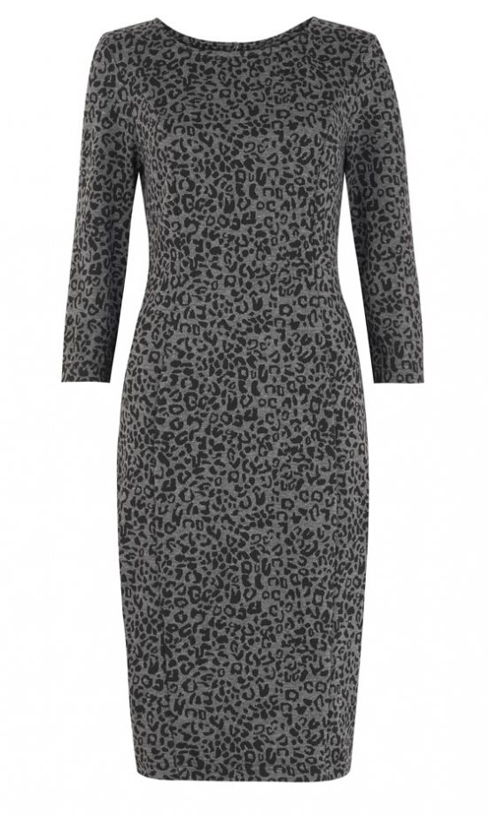 Primark AW12 Animal Printed Fitted Midi Dress, £16