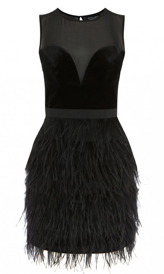 Warehouse Feather Hem Dress, £80