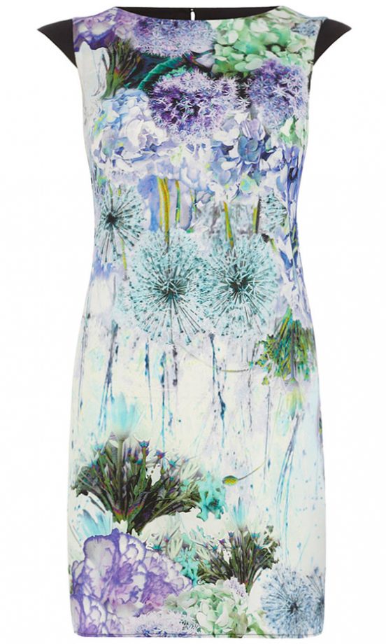 Dorothy Perkins Purple Dandelion Printed Dress, £38