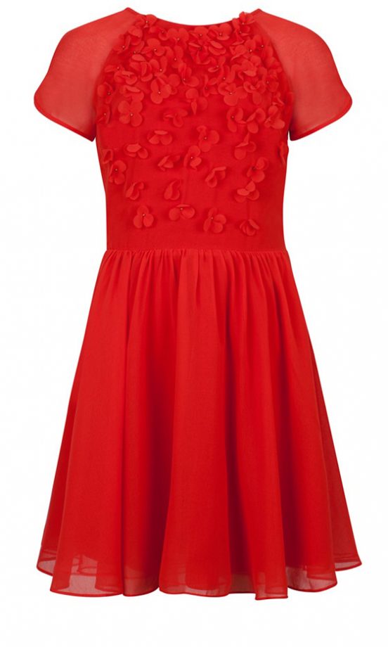 Ted Baker Floral Applique Dress, £149