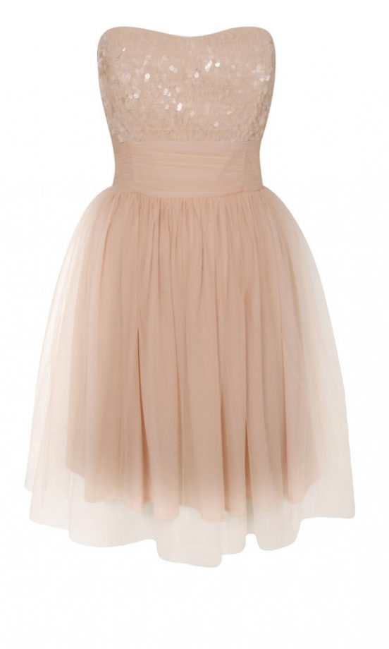 Miss Selfridge SS13 Nude Net Dress, £49