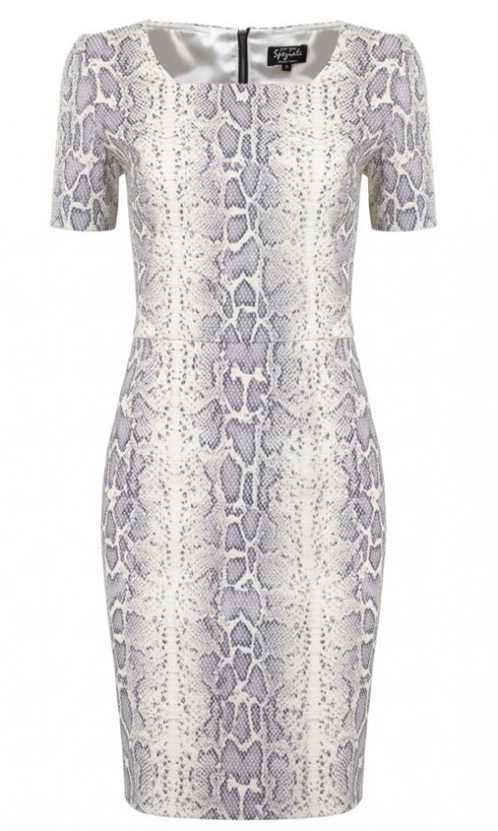 Marks & Spencer SS13 Snake Print Dress, £79.50