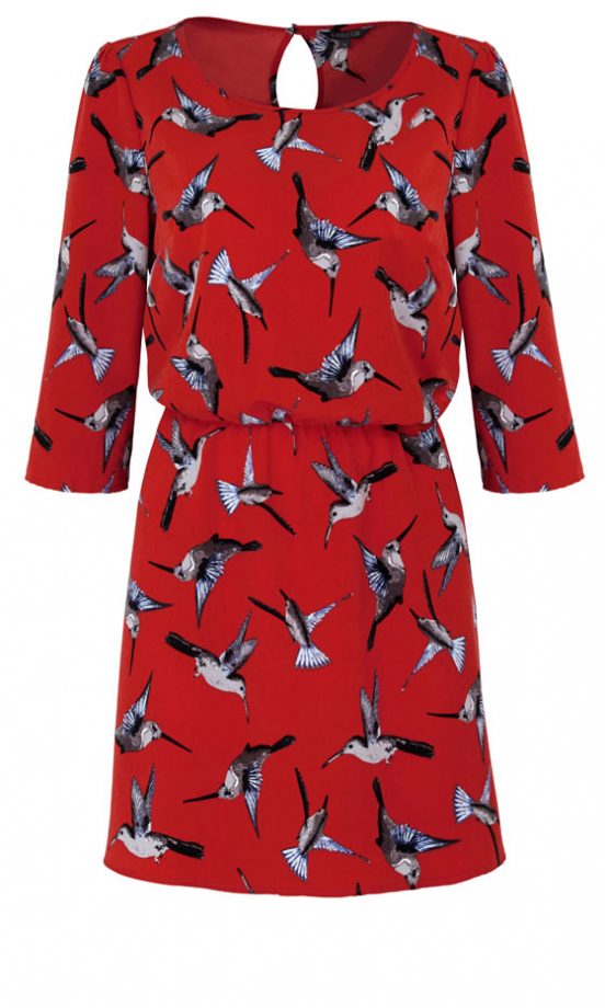 Marks & Spencer SS13 Bird Print Dress, £35