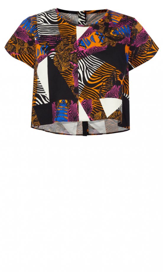 Primark SS13 Zebra Crop Top, £8