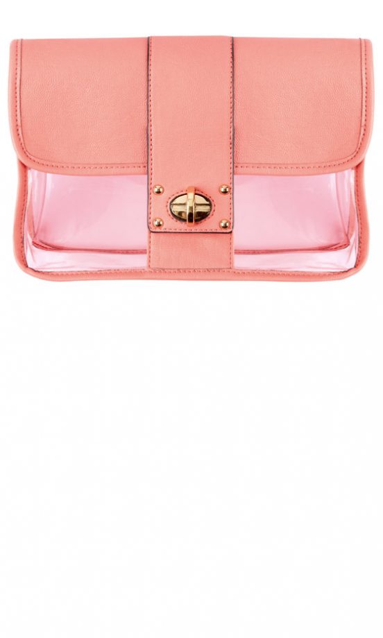F&F At Tesco Perspex Clutch