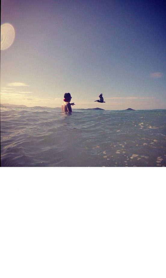 Harry Styles Makes Friends With A Pelican