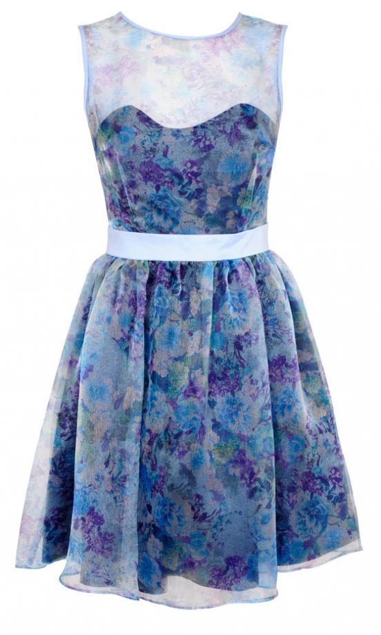 Miss Selfridge Sheer Floral Dress