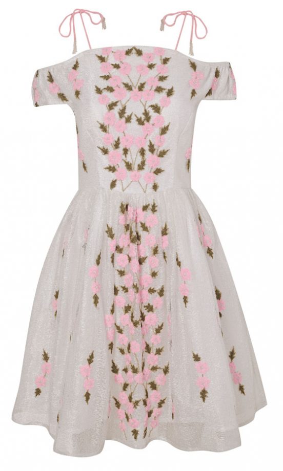 Miss Selfridge Embroidered Dress