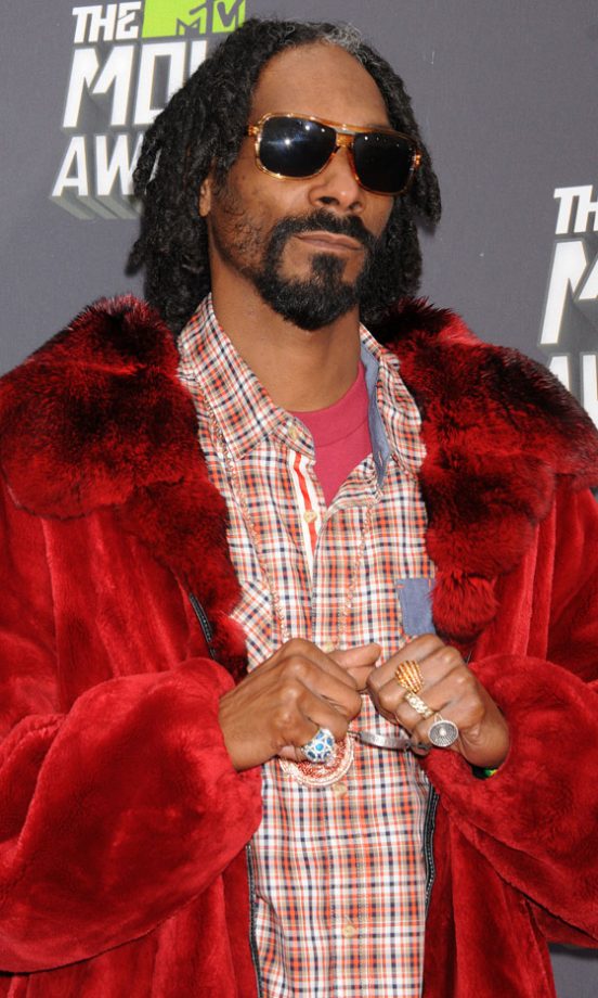 Snoop Lion At The MTV Movie Awards, 2013