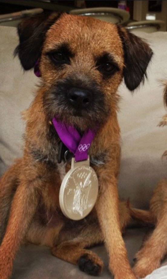 Andy Murray's Border Terrier, Maggie May, 2013