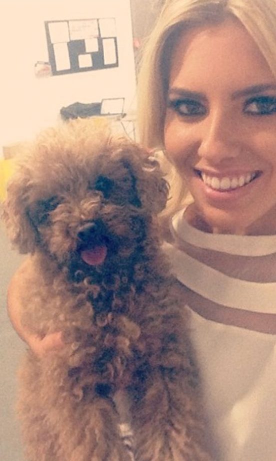 Mollie King's Poodle, Alfie, 2012