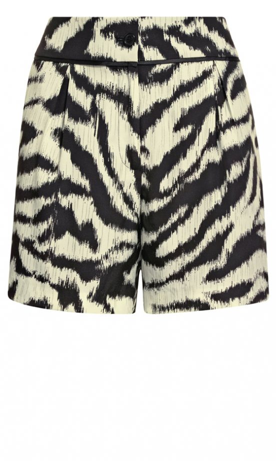 Next Summer 2013: Zebra Shorts, £23