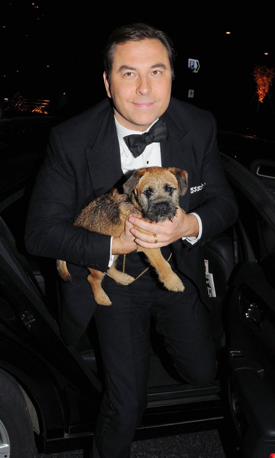 David Walliams’ Border Terrier, Bert, 2011