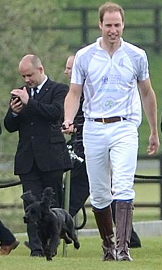Kate Middleton And Prince William's Cocker-Spaniel, Lupo, 2013
