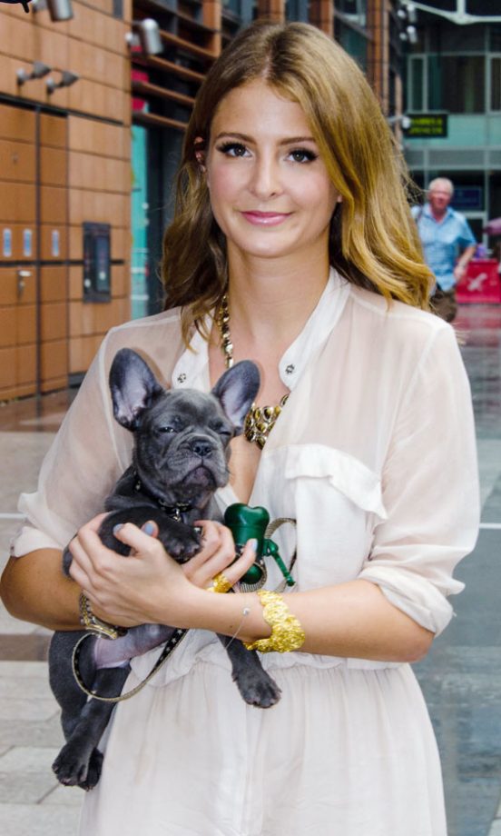 Millie Mackintosh's French Bulldog, Herbie, 2013