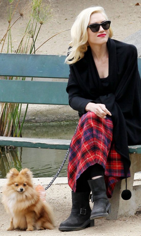 Gwen Stefani's Pomeranian, Chewy, 2013