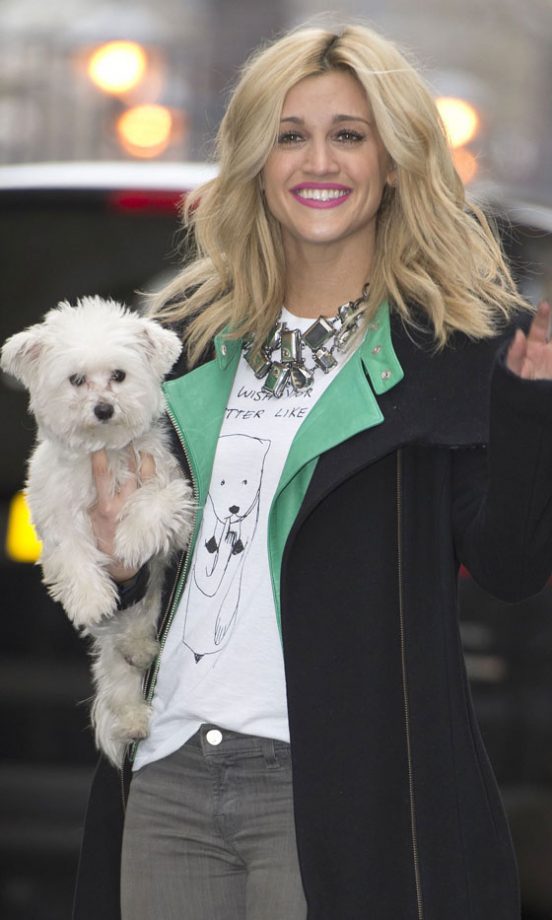 We Want These Doggies So Much!