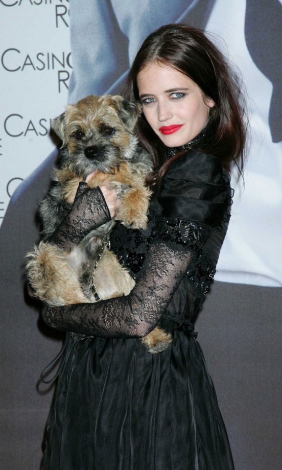 Eva Green’s Border Terrier Griffin, 2011