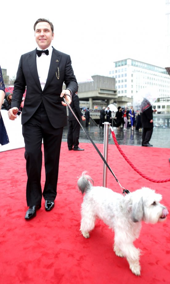 David Walliams and Pudsey The Dog At The TV Baftas, 2013