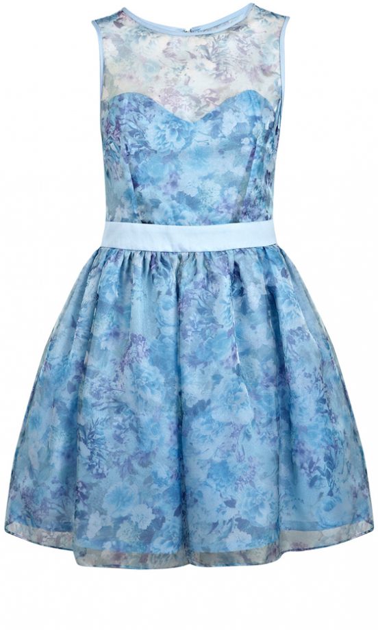 Miss Selfridge Organza Dress, £55