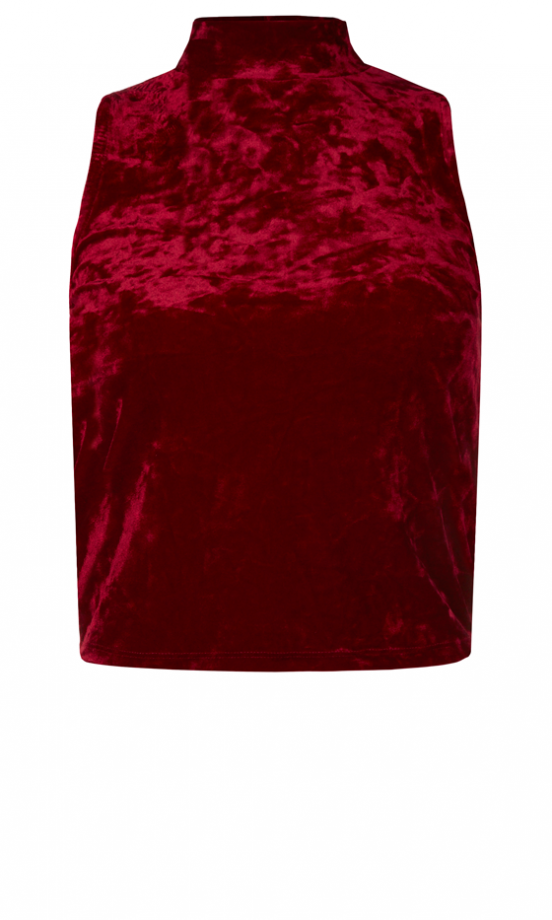 Primark Velvet Crop Top, £5
