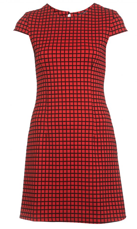Miss Selfridge Red Checked Dress