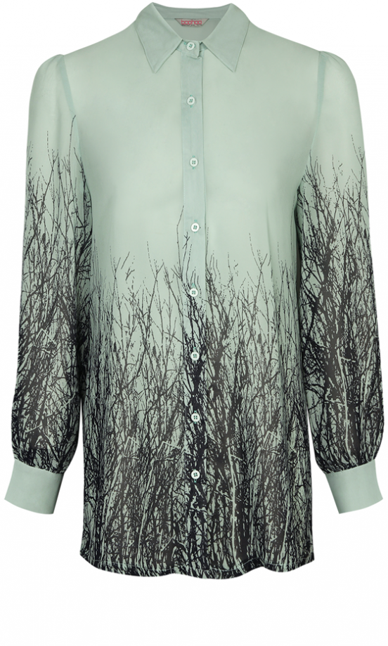 Boohoo AW13 Grass Print Shirt, £20