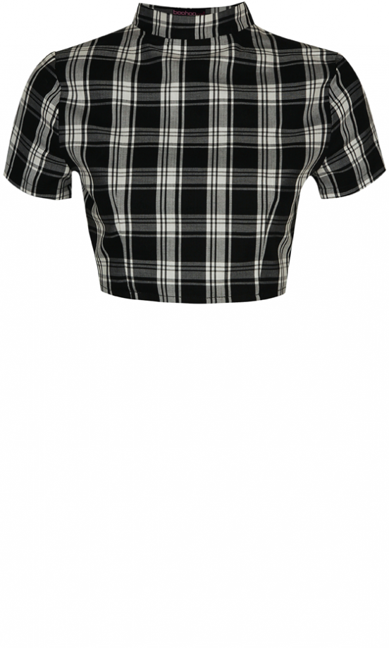 Boohoo AW13 Check Crop Top, £15