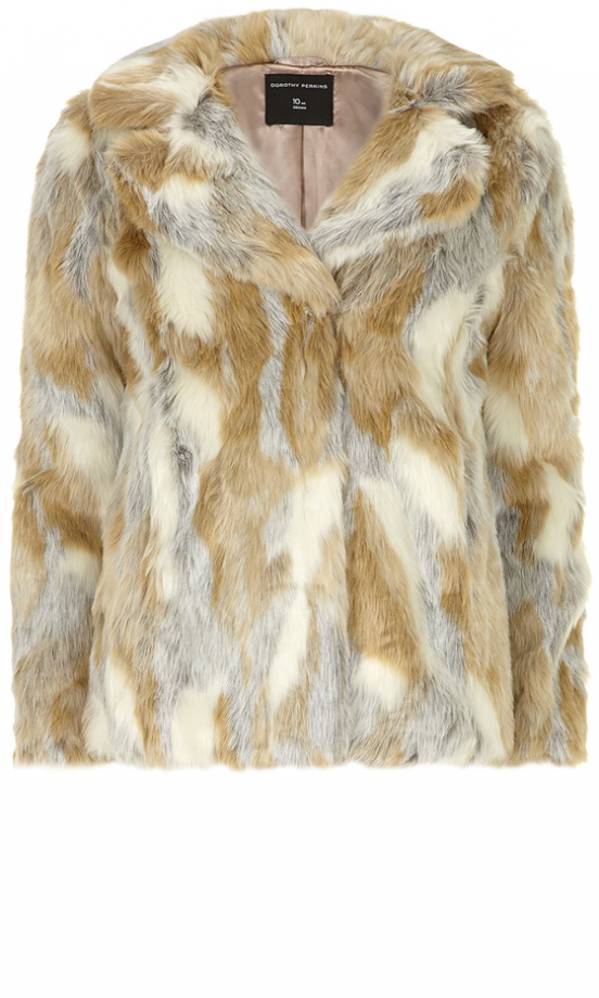 Dorothy Perkins Fur Coat, £65