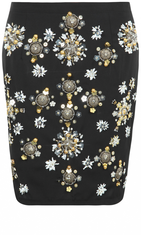 Missguided AW13 Embroidered Mini Skirt