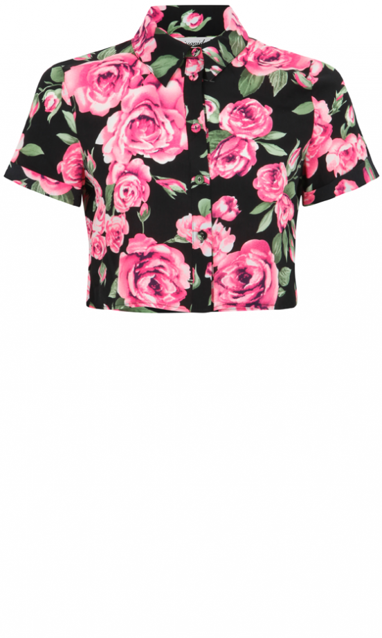 Missguided AW13 Rose Print Crop Blouse, £13.99