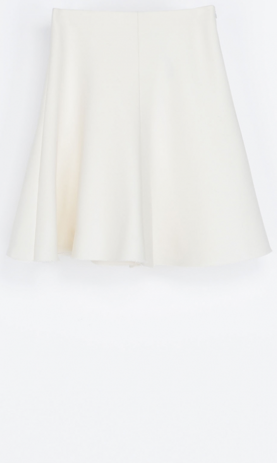 Zara Flared Skirt, £39.99
