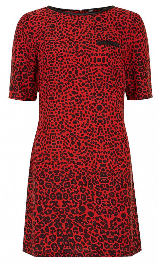 Dorothy Perkins AW13 Collection: Leopard Print Dress