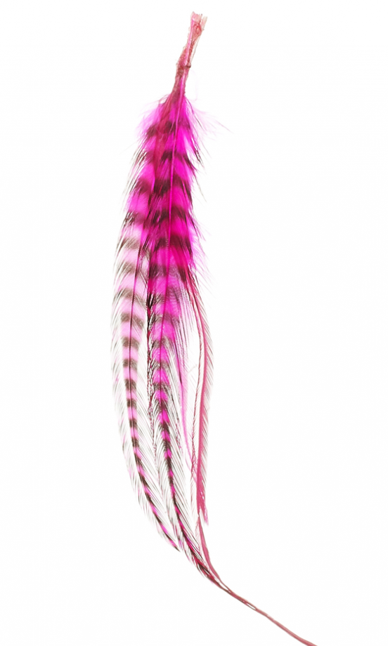 Hair Accessory: Accessorize Feather Extension, £7