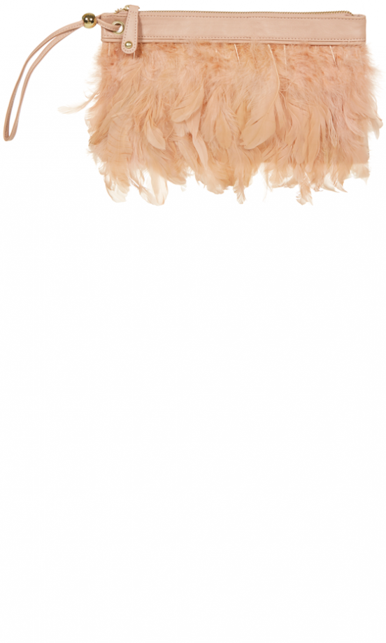 Primark AW13 Collection: Blush Feather Clutch, £8