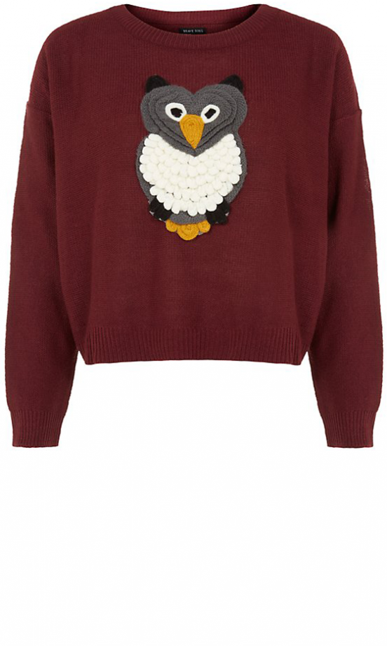 Brave Soul At New Look Owl Jumper, £19.99