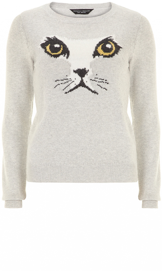 Dorothy Perkins Cat Face Jumper, £26