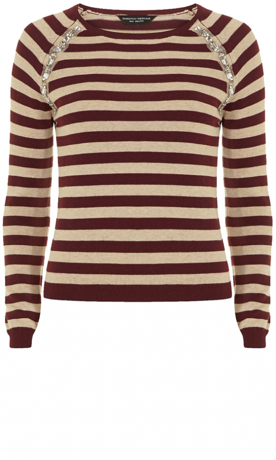 Dorothy Perkins Stripe Jumper, £26
