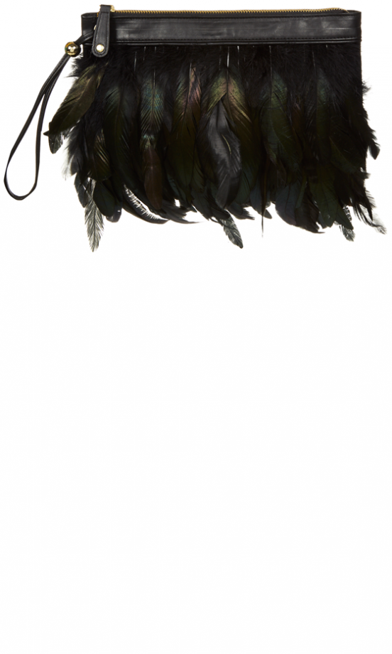 Primark AW13 Collection: Feather Clutch, £8