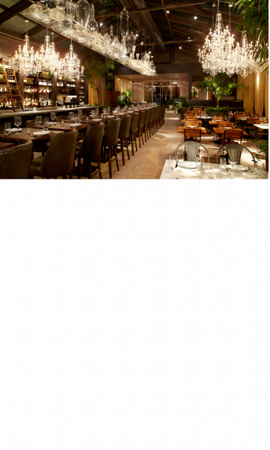 Beauty And The Beast: The Mondrian, New York