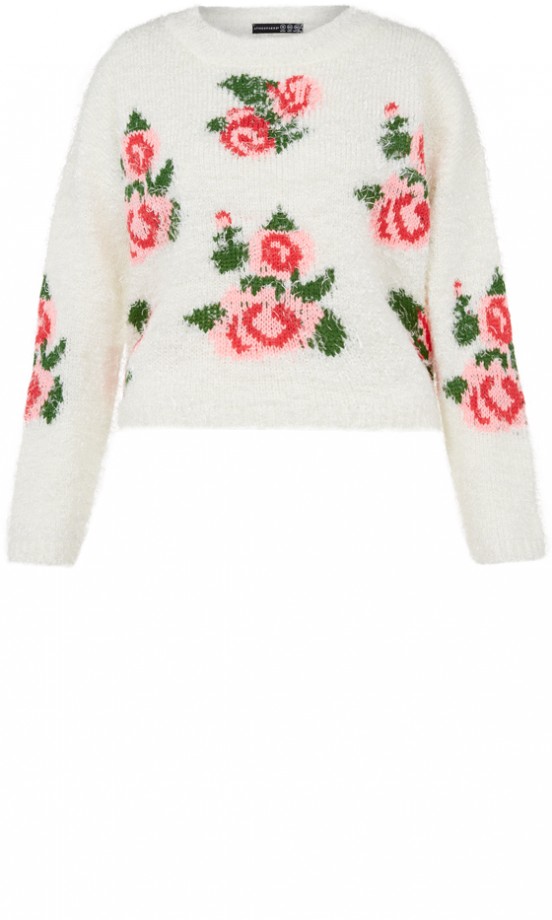 Primark AW13 Collection: Rose Print Feather Jumper