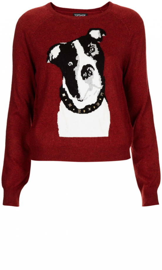 Topshop Boxer Dog Jumper, £38