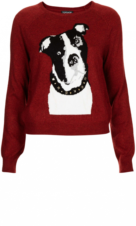 Topshop Dog Jumper, £38
