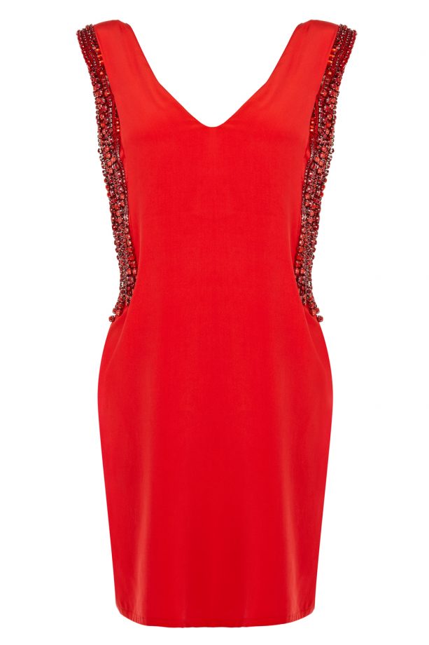 Coast Mika Dress, £220