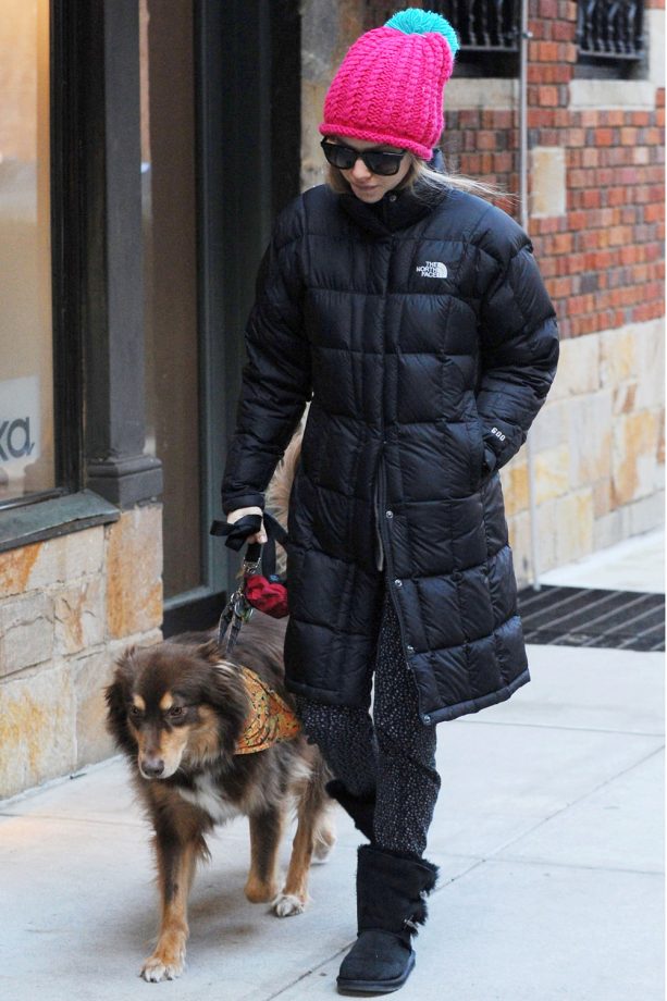 Amanda Seyfried Walking The Dog In New York