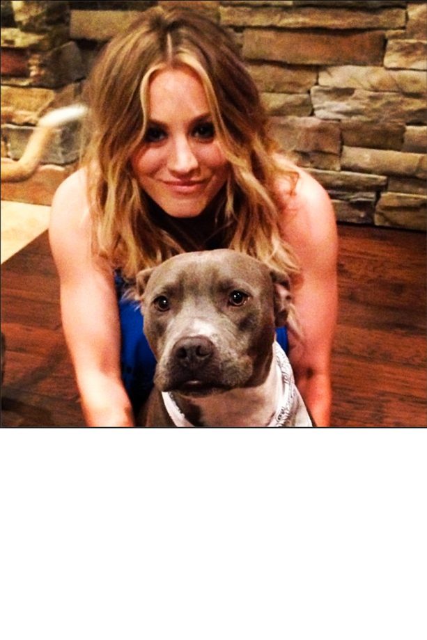 Kaley Cuoco Shares A Snap Of Her Lucky Charm, Loretta The Dog