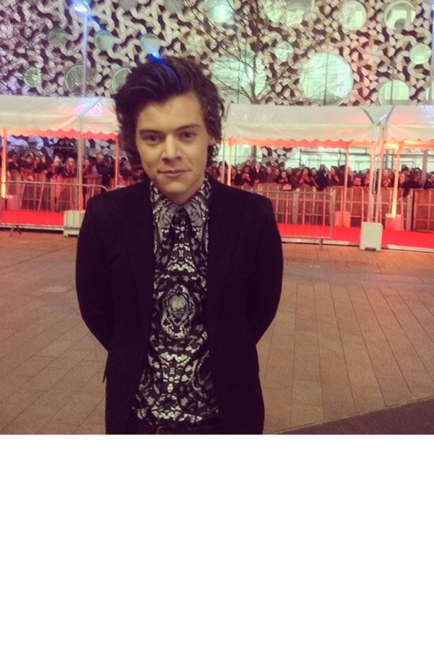 Harry Styles Finishes Up On The Red Carpet With A Solo Snap