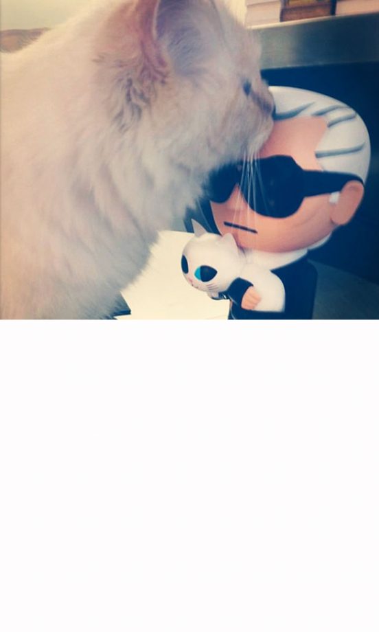 Karl Lagerfeld's Cat Gives His Figurine A Kiss, 2013